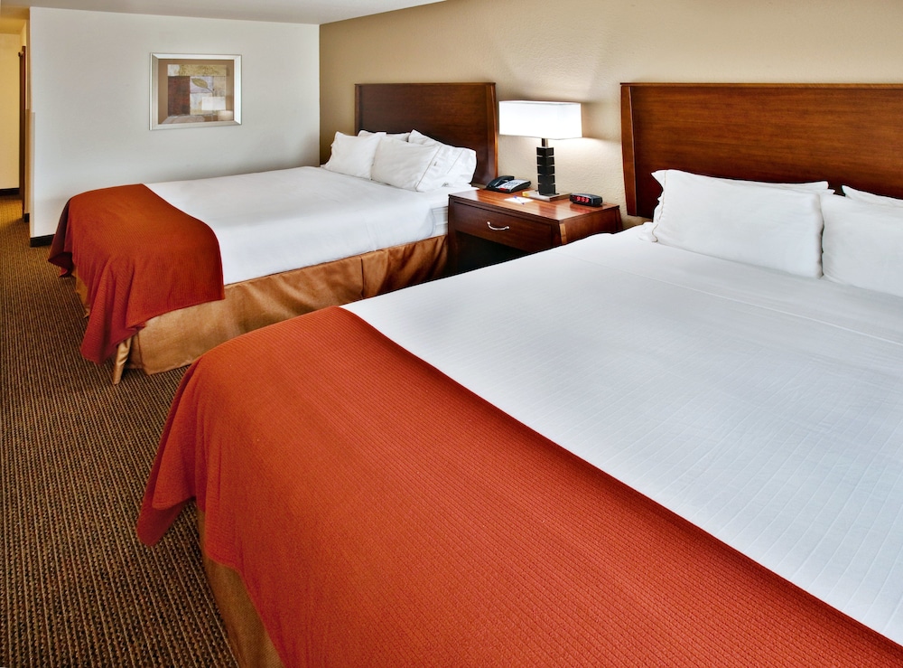 Holiday Inn Express Hotel & Suites Dubuque by IHG - photo 6
