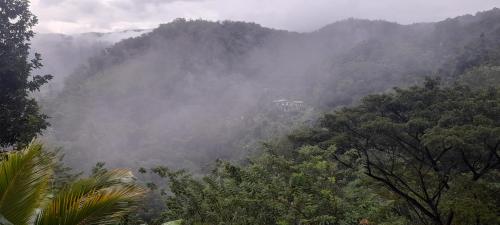 Ld Rooma — Badulla — photo 2