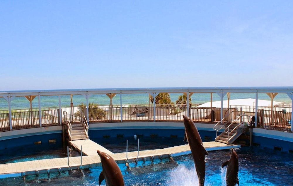 Island Princess 315 - photo 57