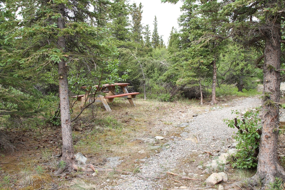 Denali RV Park and Motel - photo 37