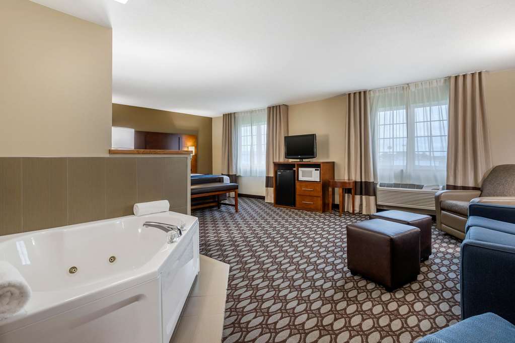 Comfort Inn Story City - photo 15