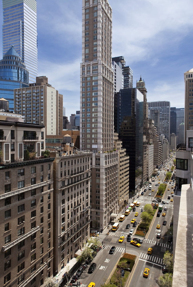 Loews Regency New York Hotel - photo 208