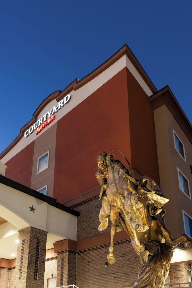 Courtyard by Marriott Fort Worth Historic Stockyards - photo 47