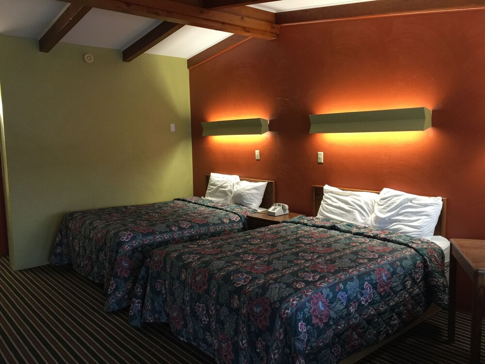 Family Budget Inn - photo 9