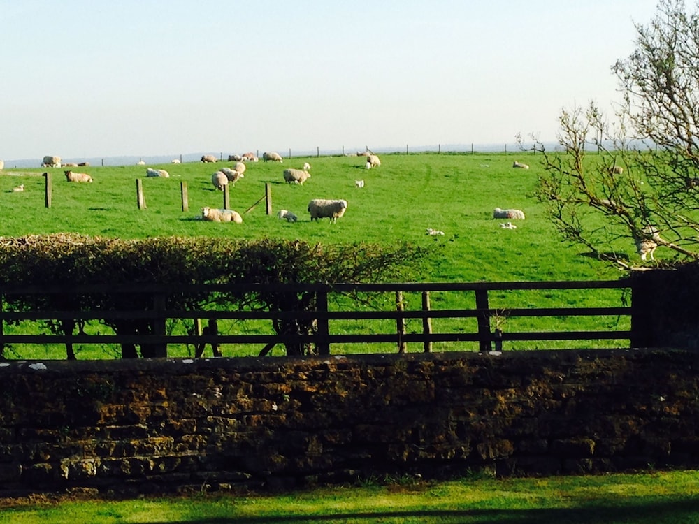 Hall Farm Boutique Bed & Breakfast