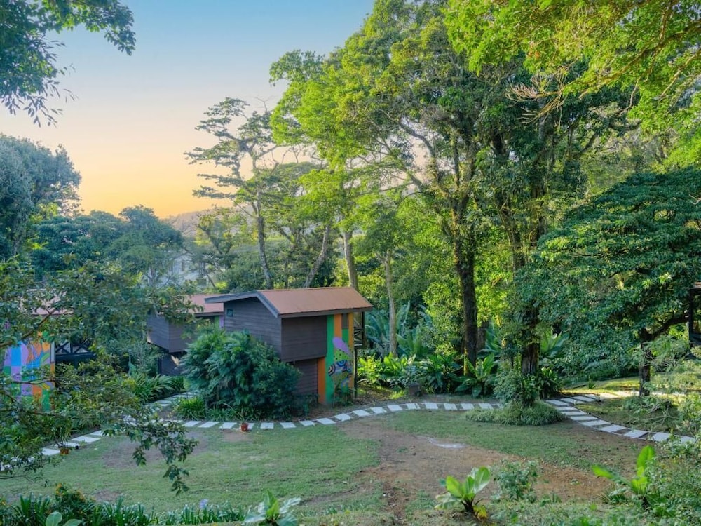Nido de Montaña — hotel in Sabanilla