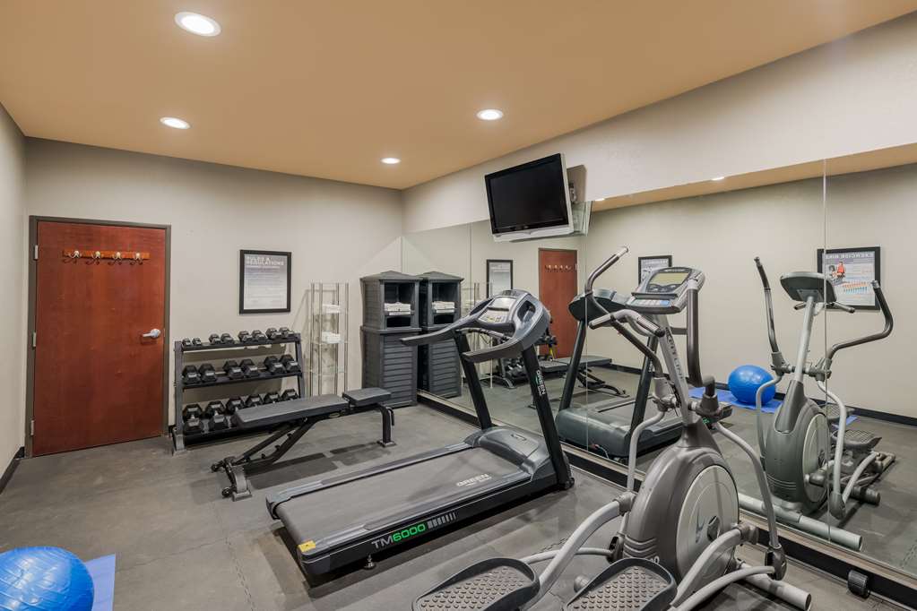 Best Western South Plains Inn & Suites - photo 10