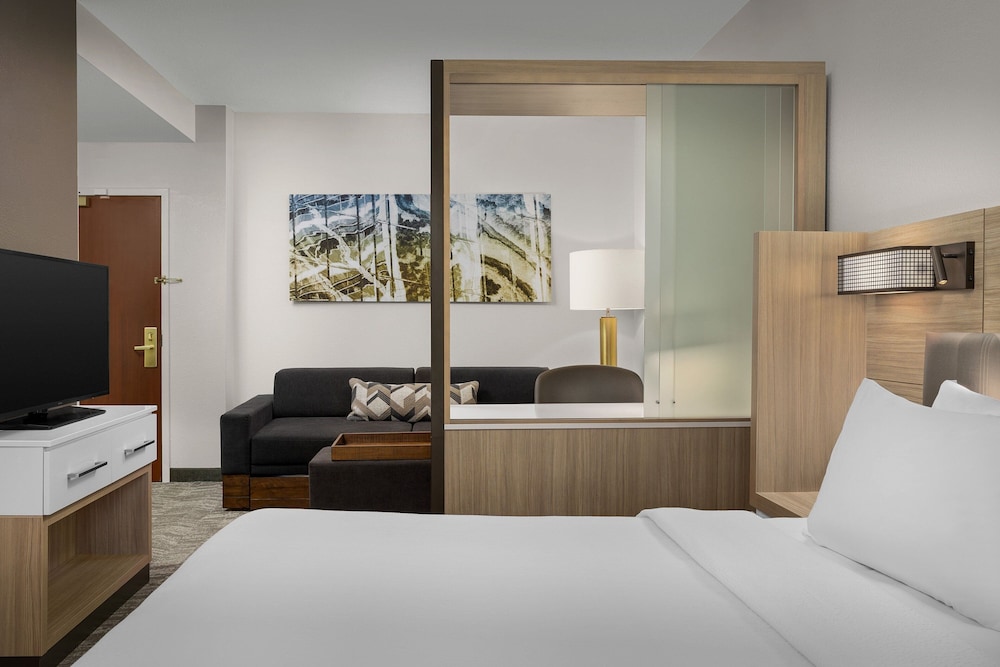 SpringHill Suites by Marriott Boston Peabody - photo 9
