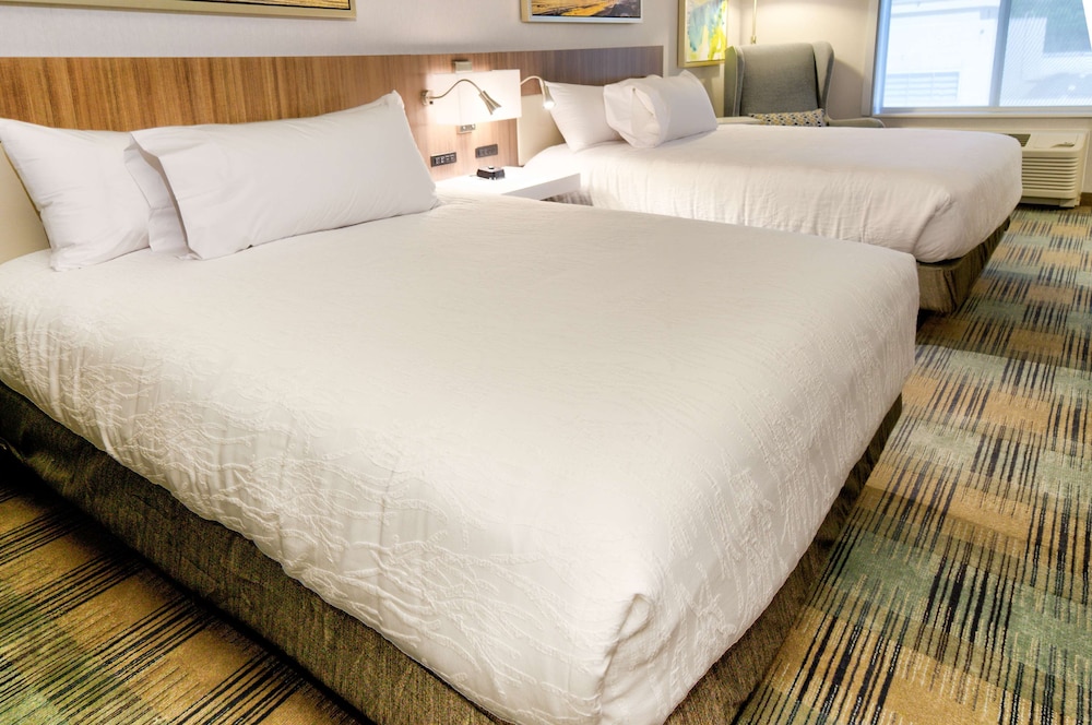 Hilton Garden Inn Santa Barbara Goleta - photo 25
