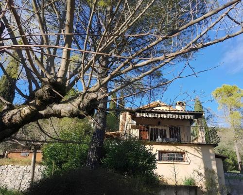 Le Mazet des oliviers vue panoramique — hotel in Saint-Hippolyte-Du-Fort
