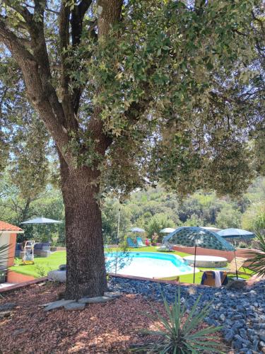 Le Havre de Paix — hotel in Ceret