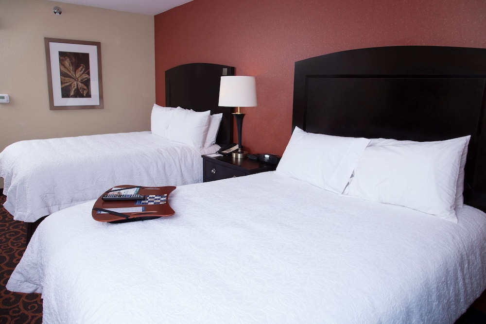 Hampton Inn & Suites Dickinson - photo 21