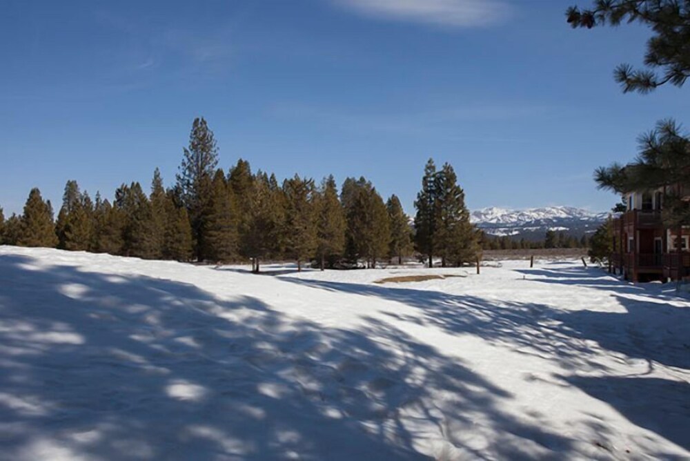Ponderosa Meadows - photo 11