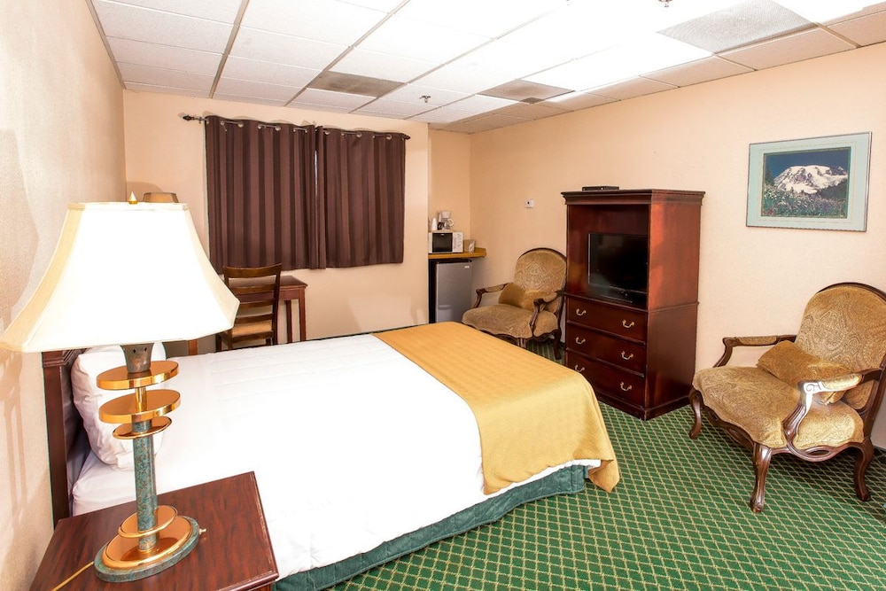 Village Inn & Suites - photo 9