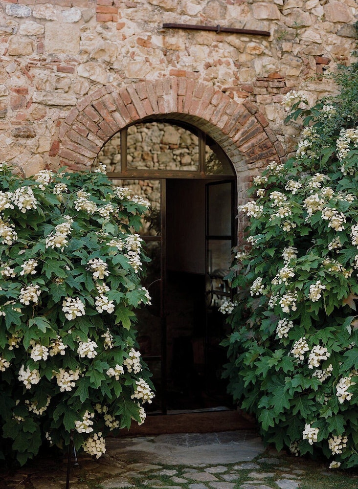 Castello Di Vicarello — Cinigiano — photo 3