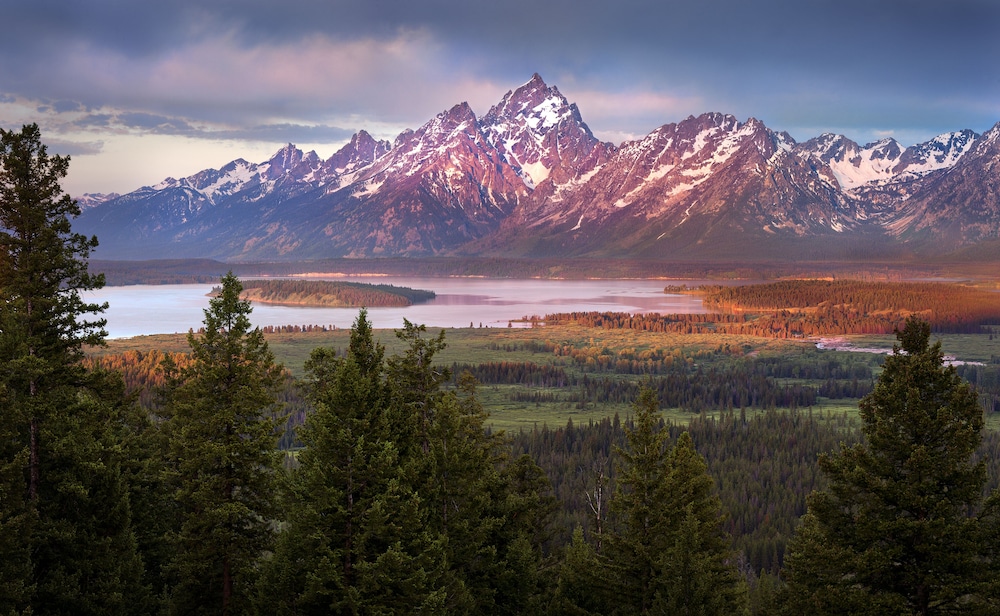 Jackson Lake Lodge 4447995 — Moran