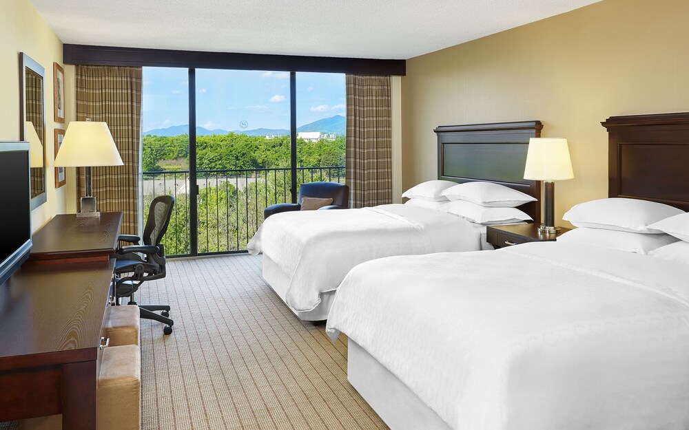 Sheraton Roanoke Hotel and Conference Center - photo 6