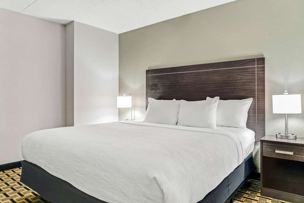Quality Inn Detroit Downtown - photo 28