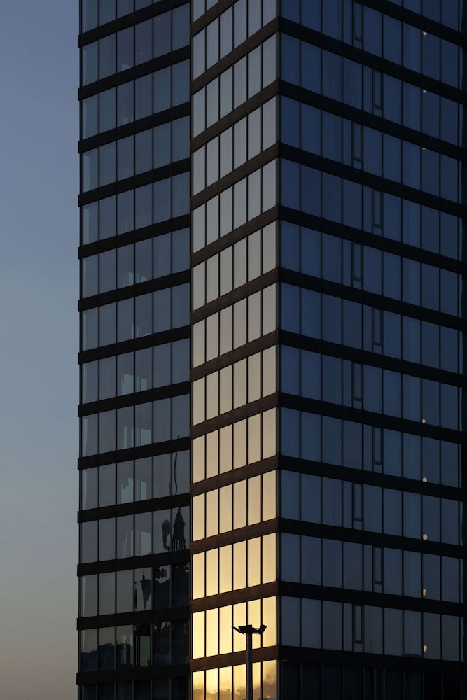 מראה חיצוני