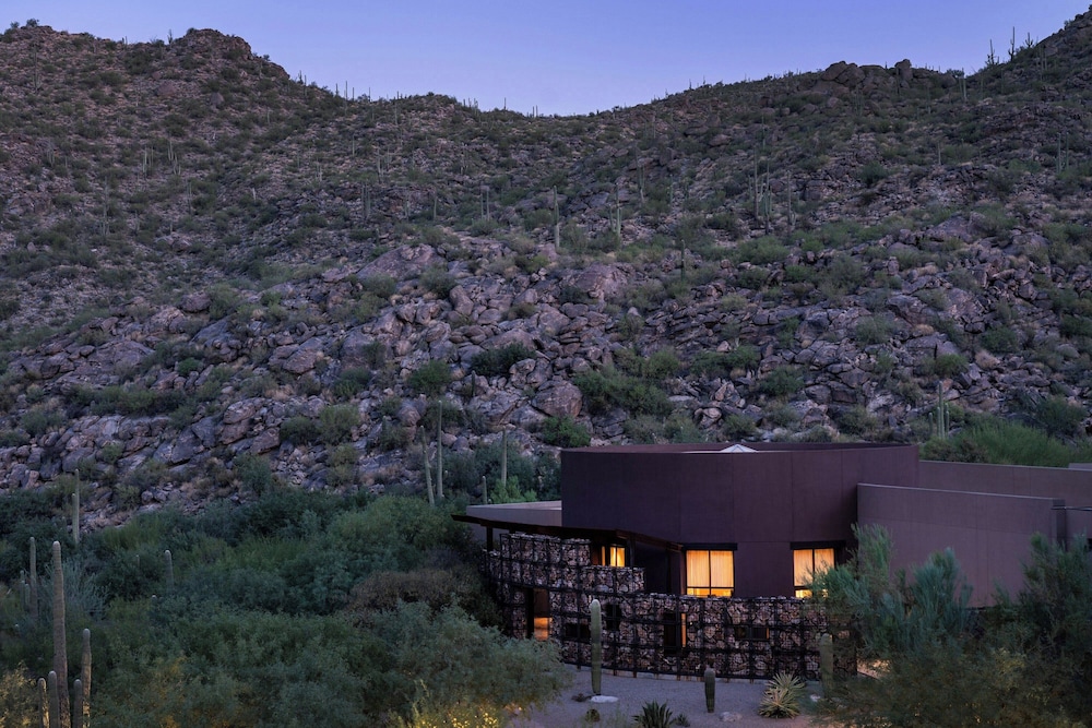 The Ritz Carlton Dove Mountain - photo 110
