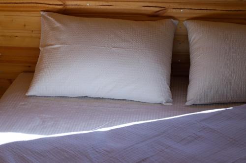 Cottage Aisi კოტეჯი აისი