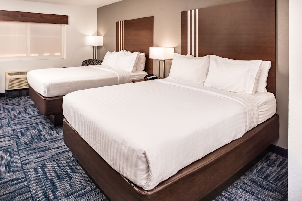 Holiday Inn Express Hotel & Suites Alamogordo Hwy 54 70 by IHG - photo 5