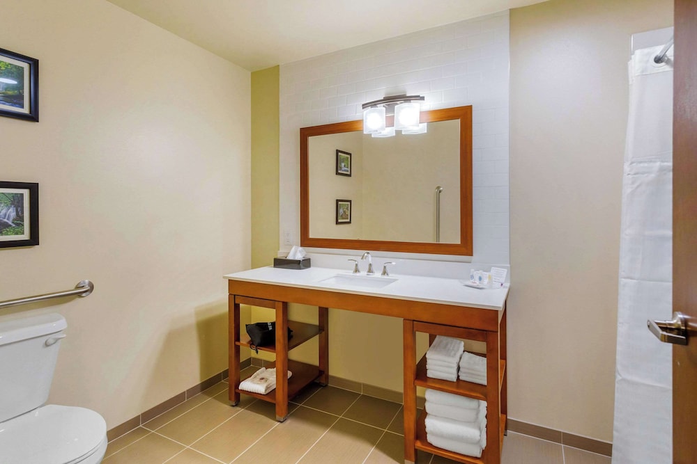 Comfort Suites Burlington near I 5 - photo 24