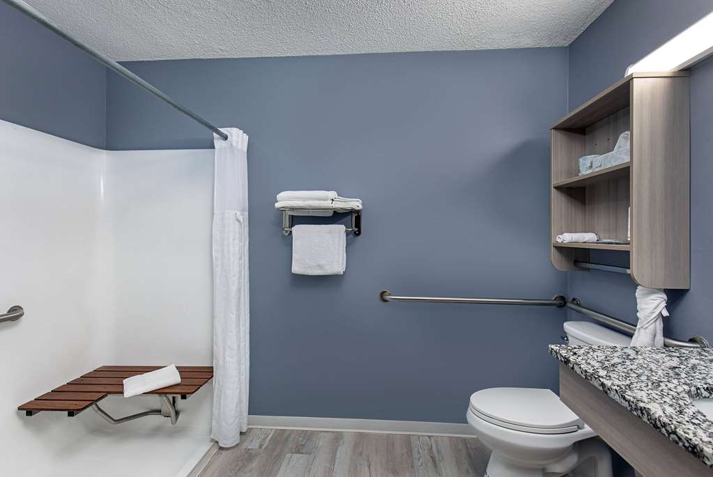 Microtel Inn by Wyndham Dry Ridge - photo 6