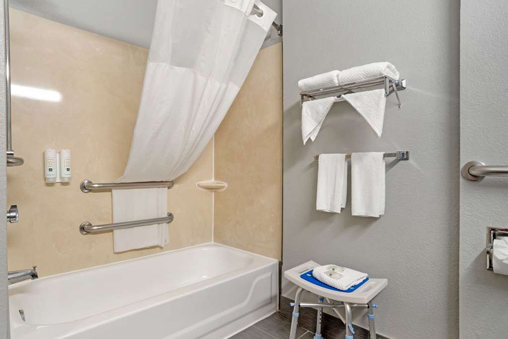 Quality Inn & Suites Birmingham Highway 280 - photo 12