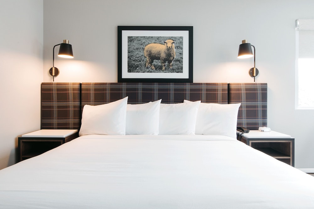 Hotel Ketchum - photo 12