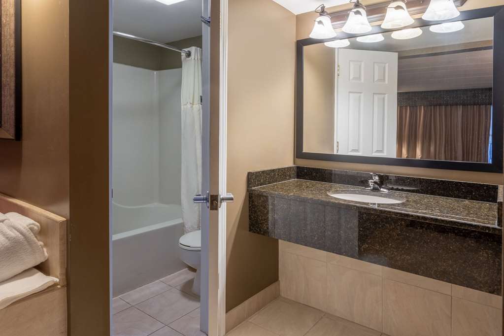 Days Inn Birch Run - photo 33