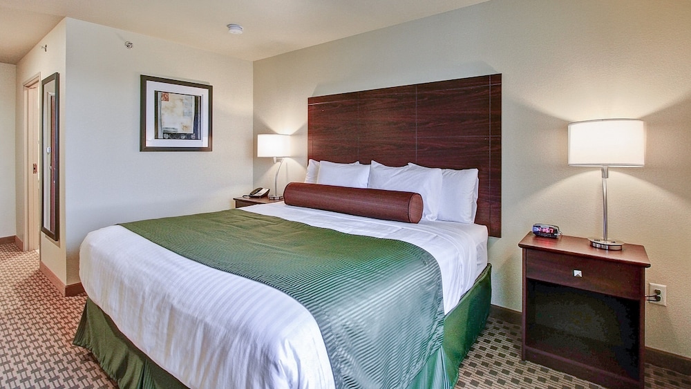 Cobblestone Hotel & Suites Pulaski Green Bay - photo 23