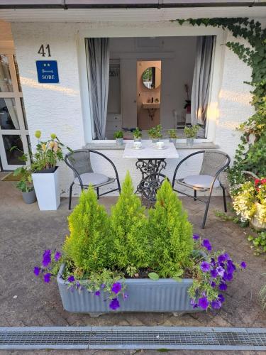 Soba Dvori — hotel in Zapresic