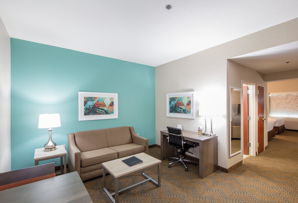 Holiday Inn & Suites Lake City by IHG - photo 6