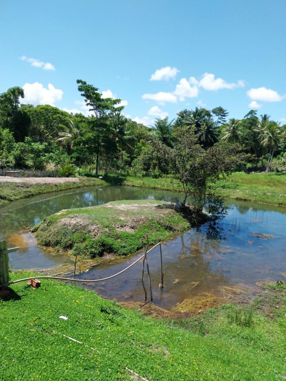 Sitio Fonte Das Aguas — Esplanada — photo 3