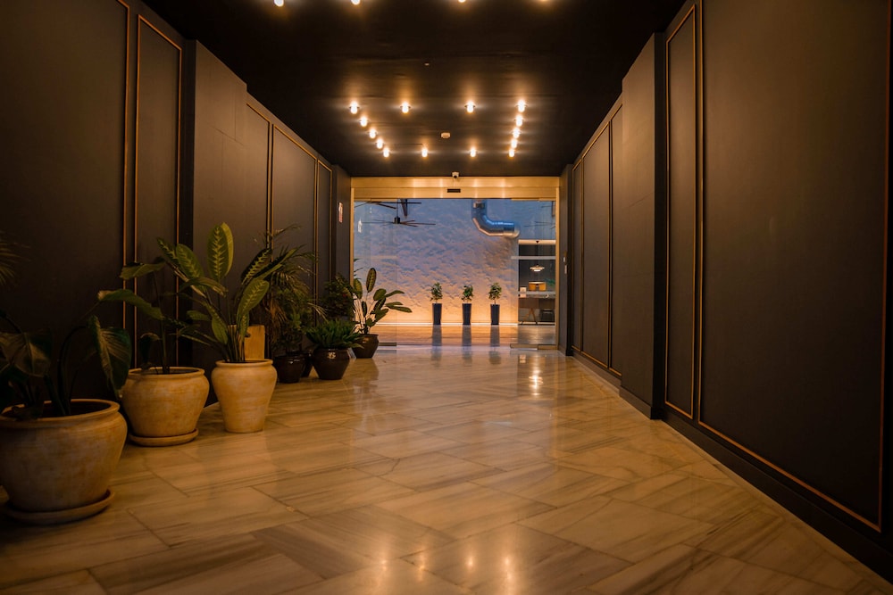 Letoh Letoh Sevilla — Sevilla — photo 2
