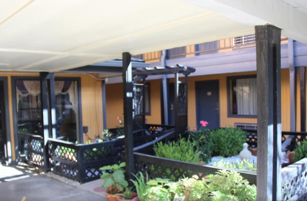 The Executive Inn & Suites - photo 20