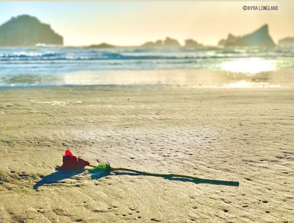 Sunset Oceanfront Lodging - photo 115