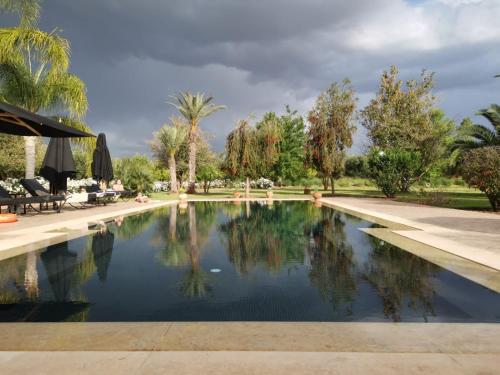 Maidan El Arsa — Marrakesh — photo 5