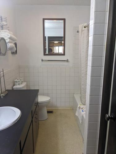 Cabana Inn - photo 8