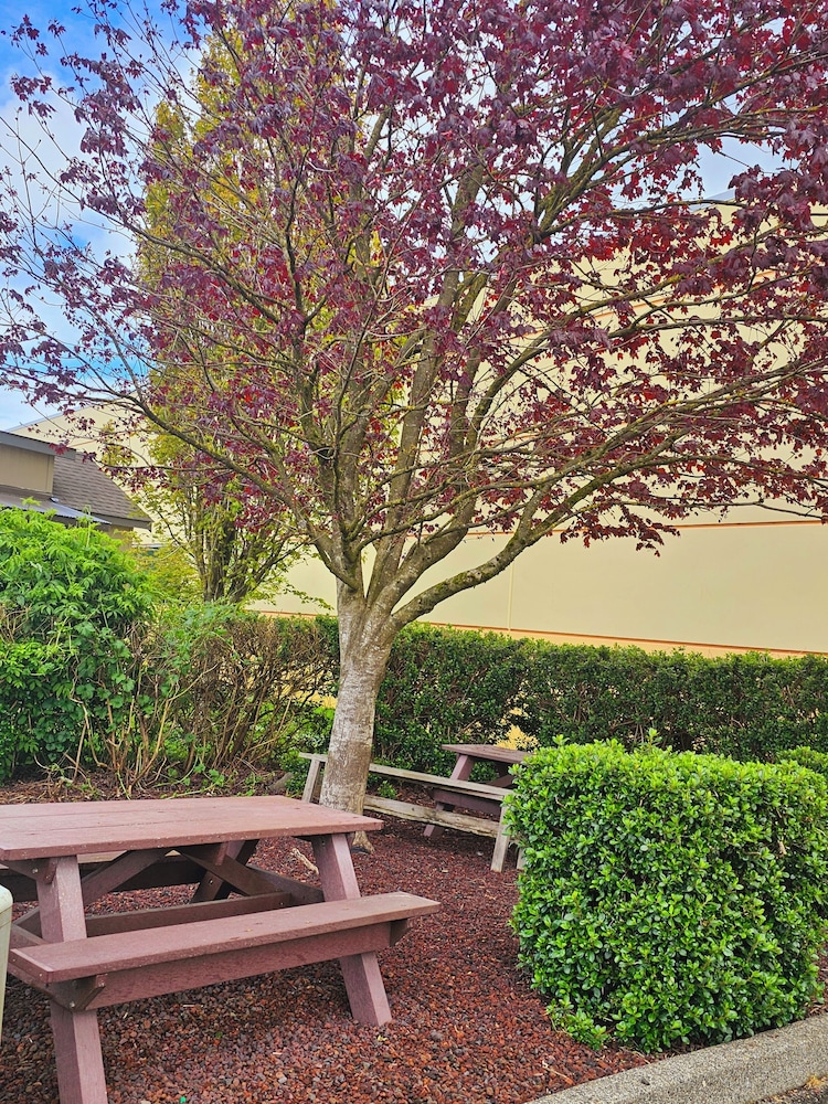 Ashley Inn of Tillamook - photo 21