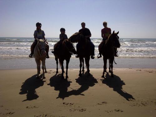 Short Walk to Beach 2 in South Padre Island, United States