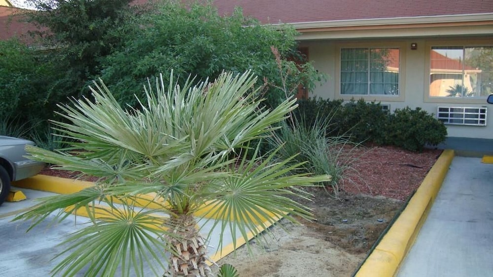Winnquest Inn Near Ft. Sam Houston - photo 30