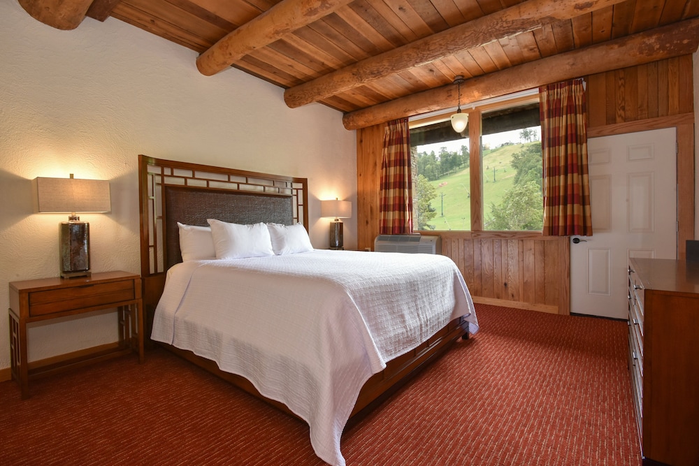 Slopeside Hotel A Vail Resorts Property - photo 32