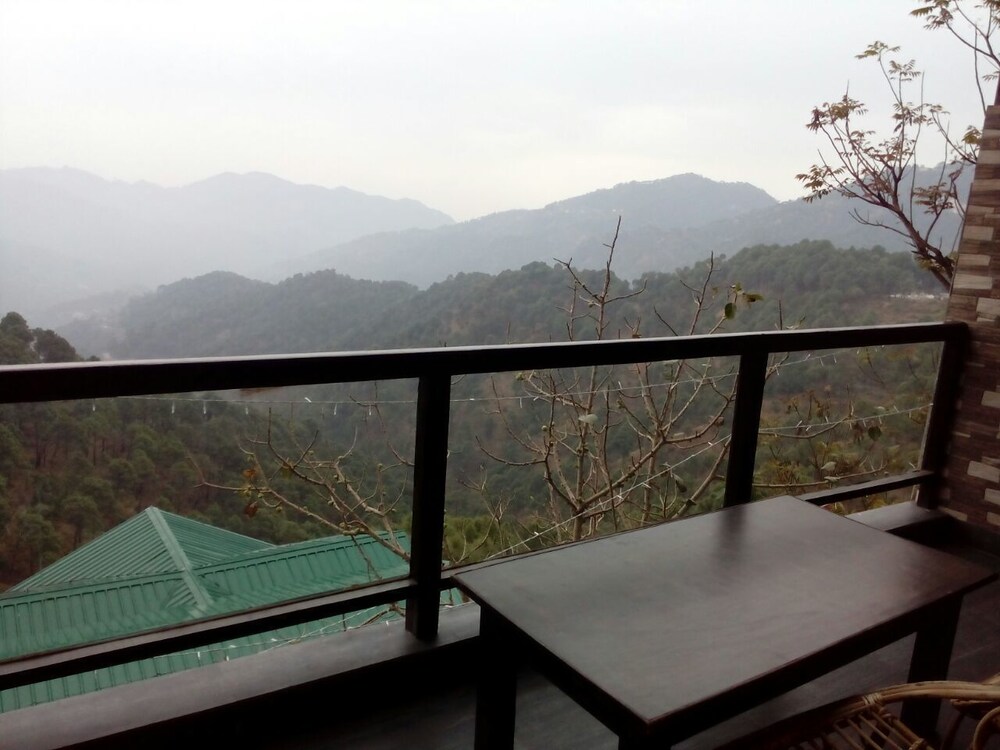 Winnies — Kasauli — photo 5