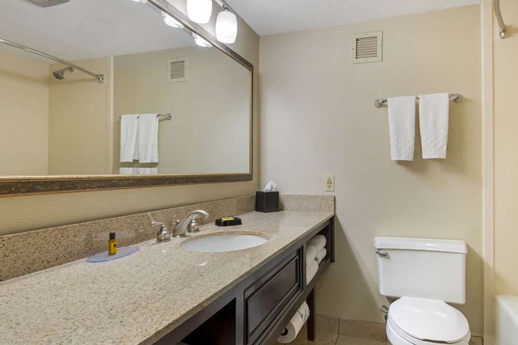 Best Western Plus St. Paul North Shoreview - photo 18