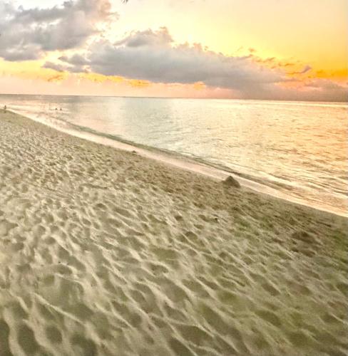 Morska Fala Domki in Pobierowo, Poland