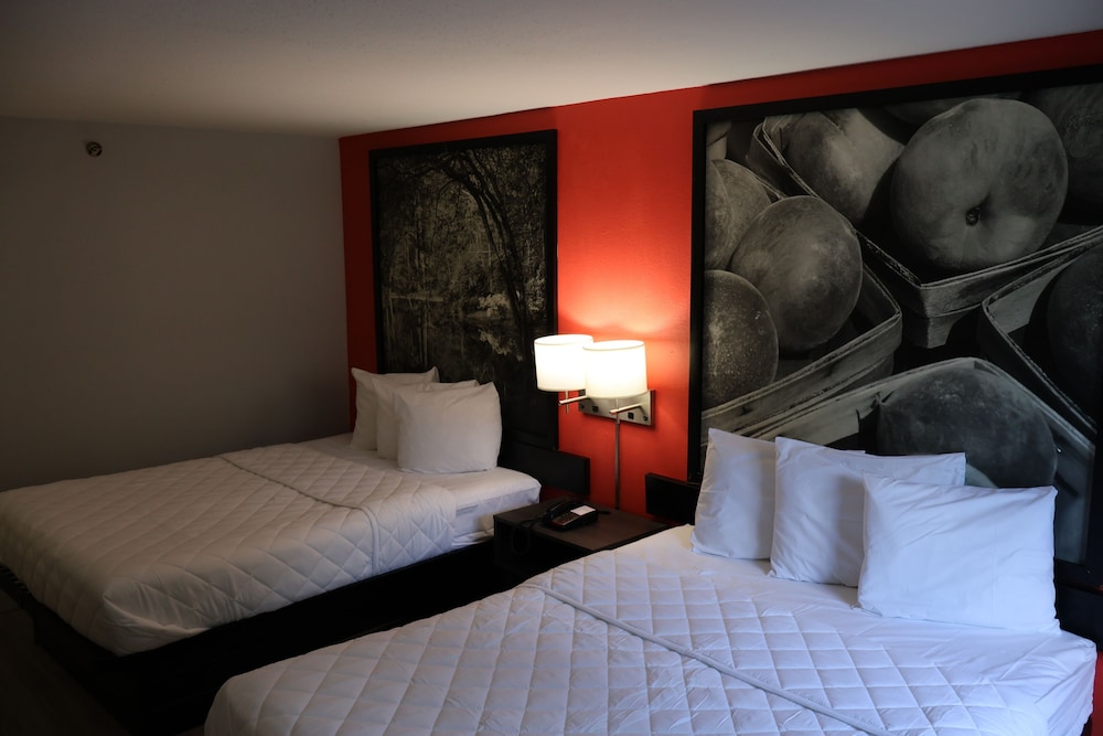 Namaste Inn & Suites Dawsonville - photo 6