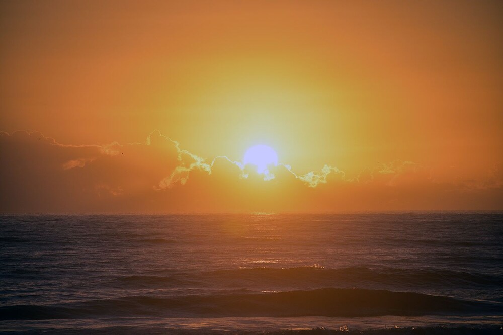 Surf Studio Beach Resort - photo 93