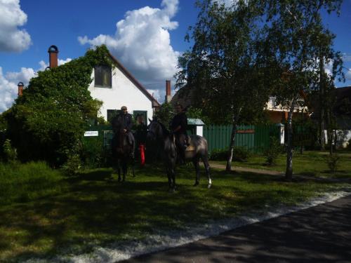 Hajdu Lovasudvar Hortobágy — Hortobagy — photo 3